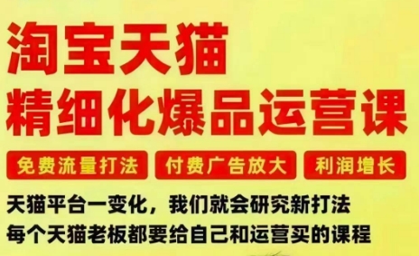 2025淘宝天猫爆品精细化运营 免费付费流量打法及利润提升指南