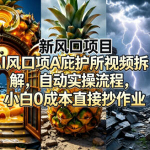 AI庇护所爆款视频项目全拆解 小白零成本可照搬实操流程-雨叶虚拟资源网