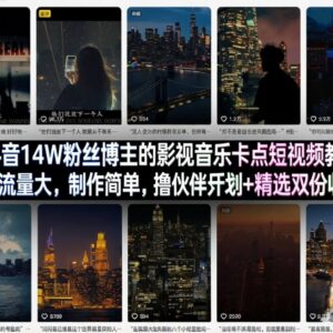 14W粉博主亲授抖音影视音乐卡点视频制作及双收益玩法-雨叶虚拟资源网