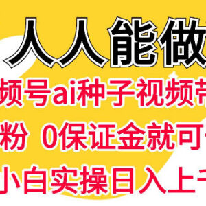 视频号AI种子带货实操方法 0粉0保证金普通人可上手项目-雨叶虚拟资源网