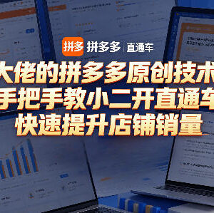 拼多多直通车实操系统课程 手把手教商家优化推广提升店铺销量-雨叶虚拟资源网