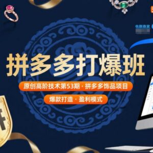 拼多多打爆班第53期原创教程 饰品类目全链路运营实操干货-雨叶虚拟资源网