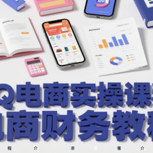 PQ电商实操系统教程 淘抖拼京多平台电商财务处理指南-雨叶虚拟资源网