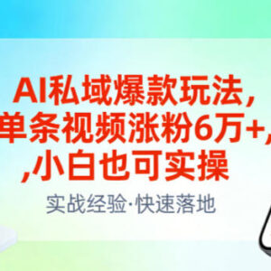 AI私域可复制爆款涨粉玩法 小白实操单条视频可涨粉6万+-雨叶虚拟资源网