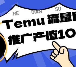 面向Temu商家的精准曝光服务项目 单机日入80-130玩法揭秘-雨叶虚拟资源网