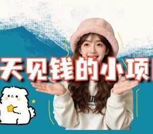 3个适合互联网小白的当日收益小项目拆解 附平台及操作流程-雨叶虚拟资源网