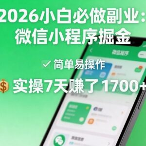 2026小白可做低门槛副业 微信小程序掘金实操收益及玩法分享-雨叶虚拟资源网