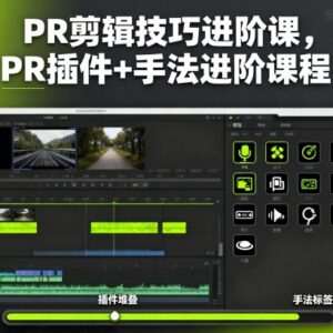 PR剪辑进阶技巧教程 常用插件用法及实操剪辑手法教学-雨叶虚拟资源网