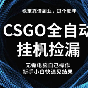 CSGO全自动捡漏副业操作教程 新手小白可上手稳定增收方法-雨叶虚拟资源网