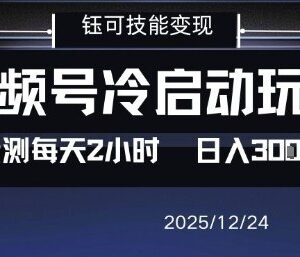 视频号分成计划冷启动玩法 0门槛每天2小时可做的增收副业项目-雨叶虚拟资源网