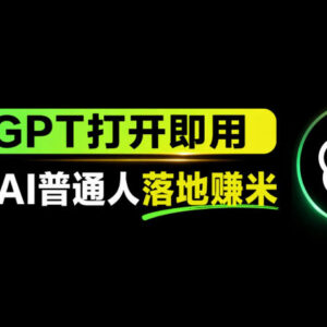 普通人AI落地与变现方法分享 国内可用AI工具站使用指南-雨叶虚拟资源网