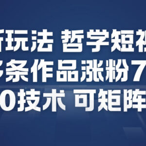 AI哲学短视频制作实操教学 0成本可矩阵20条作品涨粉70W攻略-雨叶虚拟资源网