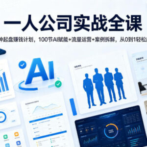 一人公司实战全课：36种起盘计划100节AI流量运营实操教学-雨叶虚拟资源网