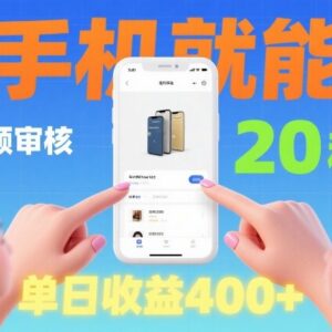 商品视频审核副业项目详解 手机可操作门槛低单量充足易上手-雨叶虚拟资源网