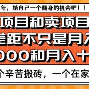 卖项目可轻松月入10万做项目难盈利 核心原因深度解析-雨叶虚拟资源网