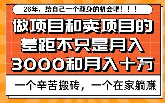 卖项目可轻松月入10万做项目难盈利 核心原因深度解析