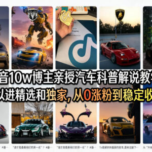抖音汽车科普解说从0涨粉到变现 10W博主实战教学课程-雨叶虚拟资源网