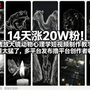 动物心理学情绪向短视频制作教程 14天涨20万粉赚创作者收益-雨叶虚拟资源网