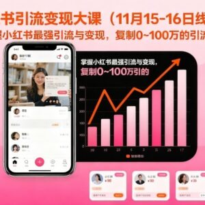 小红书引流变现系统实操课 掌握0到100万可复制引流路径-雨叶虚拟资源网