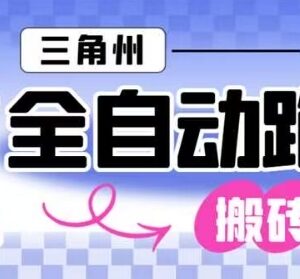 三角洲行动全自动跑刀玩法 单窗口日产千万哈夫币月收益过万-雨叶虚拟资源网