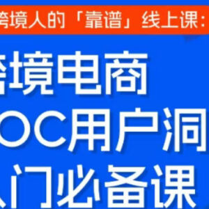 跨境电商VOC用户洞察入门实战课 跨境卖家运营提升线上课程-雨叶虚拟资源网
