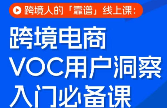 跨境电商VOC用户洞察入门实战课 跨境卖家运营提升线上课程
