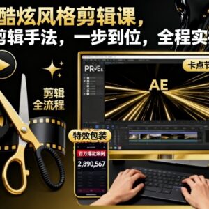 时尚酷炫风格剪辑实操课程 系统掌握专业剪辑全流程手法-雨叶虚拟资源网