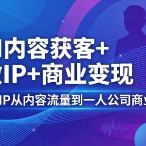 AI+IP商业化实操训练营 从内容获客到一人公司变现全流程-雨叶虚拟资源网