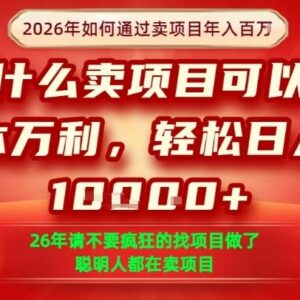 2026年卖项目年入百万实操攻略 单单净利润可达1000元以上-雨叶虚拟资源网