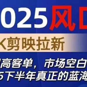 2025下半年TK剪映CapCut拉新项目详解 高客单价蓝海副业指南-雨叶虚拟资源网