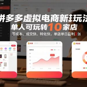 拼多多虚拟电商实操玩法 单人可运营10家店零成本高收益教程-雨叶虚拟资源网