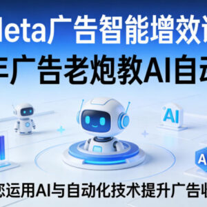 Meta广告智能增效课 11年实战专家教你用AI自动化提广告收益-雨叶虚拟资源网