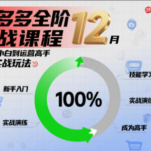 12月拼多多全阶实战课程 零基础入门到运营高手实操教学-雨叶虚拟资源网