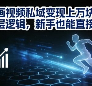 动画视频私域变现月入过万底层逻辑 零基础新手可直接套用-雨叶虚拟资源网