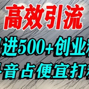 抖音引流创业粉实操教程 巧用用户心理单日可获500+精准流量-雨叶虚拟资源网