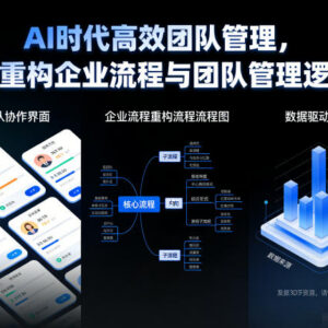AI时代高效团队管理指南 教你用AI重构企业流程与管理逻辑-雨叶虚拟资源网