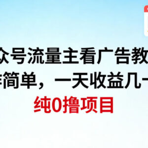 公众号流量主看广告撸收益零撸项目 操作简单无门槛易上手-雨叶虚拟资源网