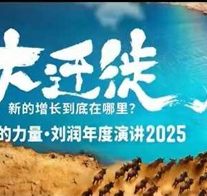 2025刘润年度演讲全程回放 新增长趋势核心内容完整分享-雨叶虚拟资源网