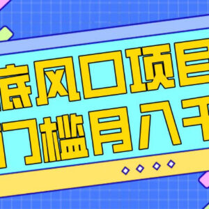 春节前后零成本低门槛风口项目 新人小白可上手附操作渠道-雨叶虚拟资源网