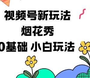 视频号分成计划全新玩法 0基础小白可操作的烟花秀视频项目-雨叶虚拟资源网