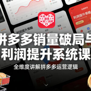 拼多多运营系统课 全维度拆解销量破局与利润提升核心逻辑-雨叶虚拟资源网