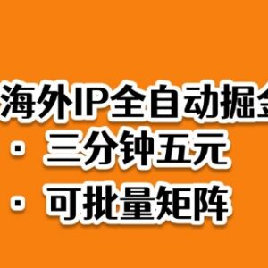 2025海外IP全自动掘金蓝海项目 低门槛快速落地操作玩法解析-雨叶虚拟资源网