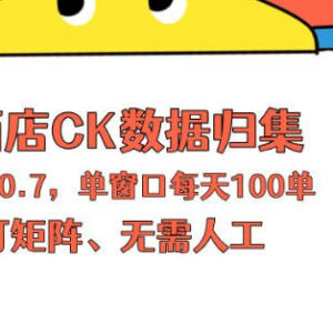 适合上班族操作的酒店数据归集项目 单人可开展矩阵运营-雨叶虚拟资源网