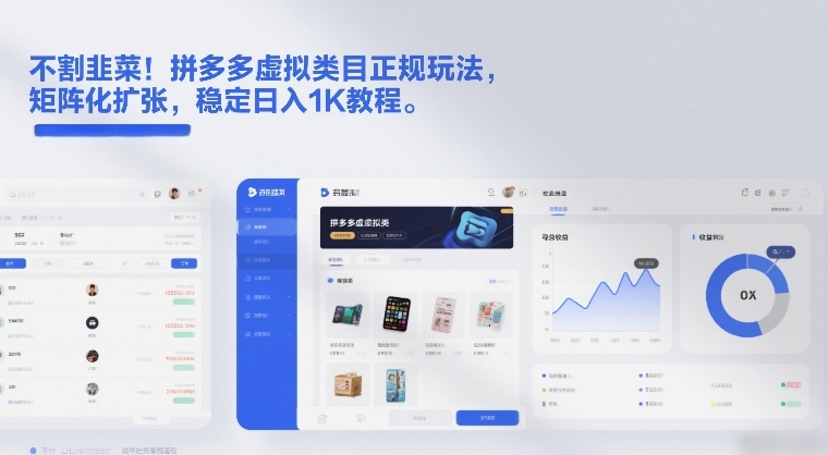 拼多多虚拟类目正规玩法解析 矩阵化运营稳定盈利实操教程