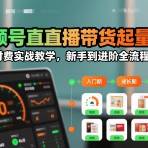 视频号直播带货起量及微付费实战 新手到进阶全流程教学-雨叶虚拟资源网