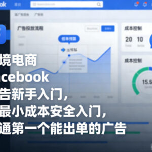 跨境电商Facebook广告新手入门 低成本跑通首条出单广告教程-雨叶虚拟资源网