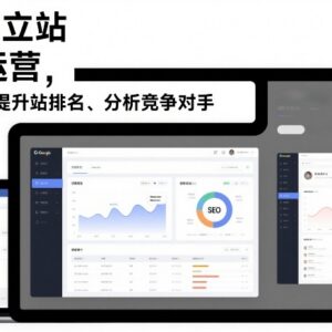 2026更新谷歌独立站SEO运营教程 手把手教你提升排名分析竞品-雨叶虚拟资源网