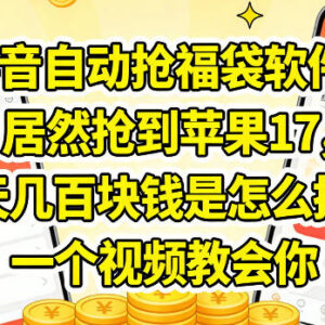 抖音直播自动抢福袋实操教程 多账号收益变现玩法全解析-雨叶虚拟资源网