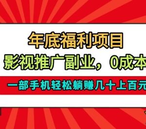 年底可做的正规影视推广副业 单手机操作单日稳定收益30-100元-雨叶虚拟资源网