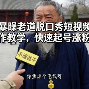 AI暴躁老道脱口秀短视频制作教学 零基础快速起号涨粉教程-雨叶虚拟资源网